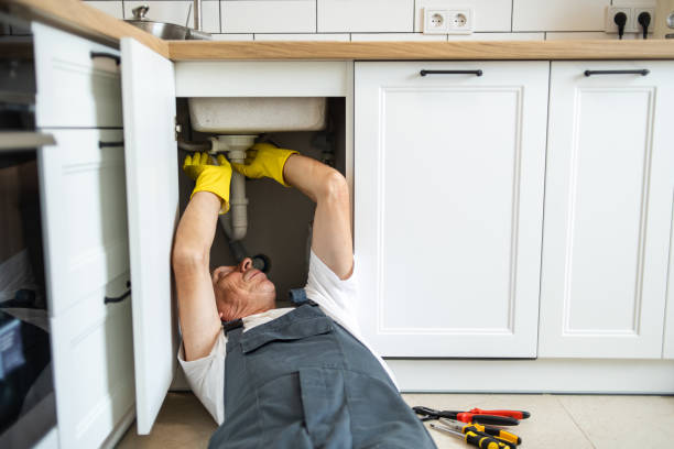 Best Sprinkler Systems  in South Lake Tahoe, CA